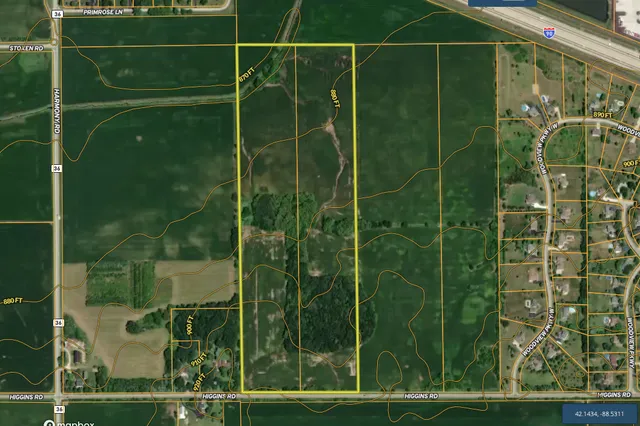 a close up of a plant in a garden