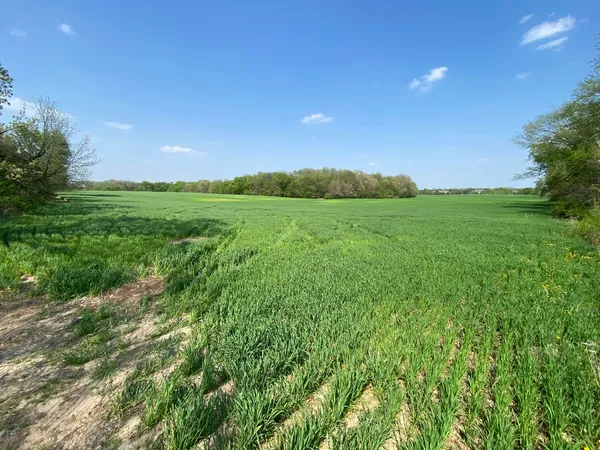 a view of a green field with clear sky