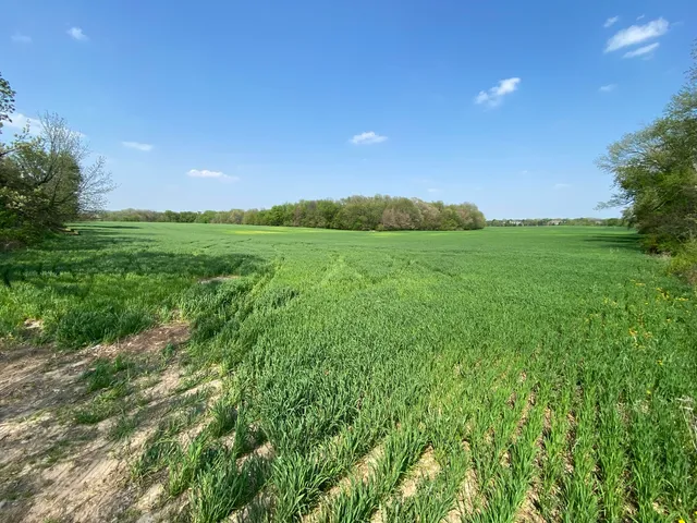 a view of a green field with clear sky