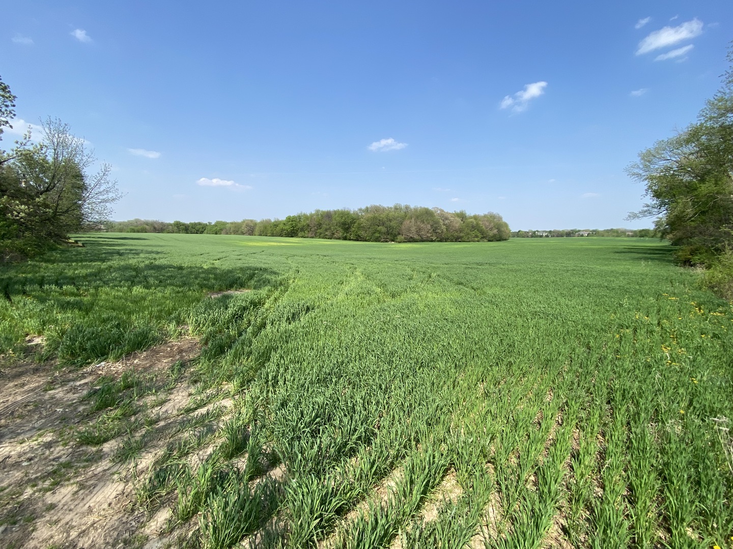 0 Higgins Road Hampshire, IL 60140 - Photo 4 of 30 a view of a green field with clear sky