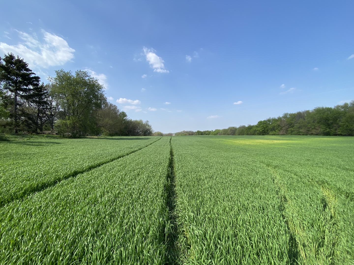 0 Higgins Road Hampshire, IL 60140 - Photo 5 of 30 a view of a green field with a tree