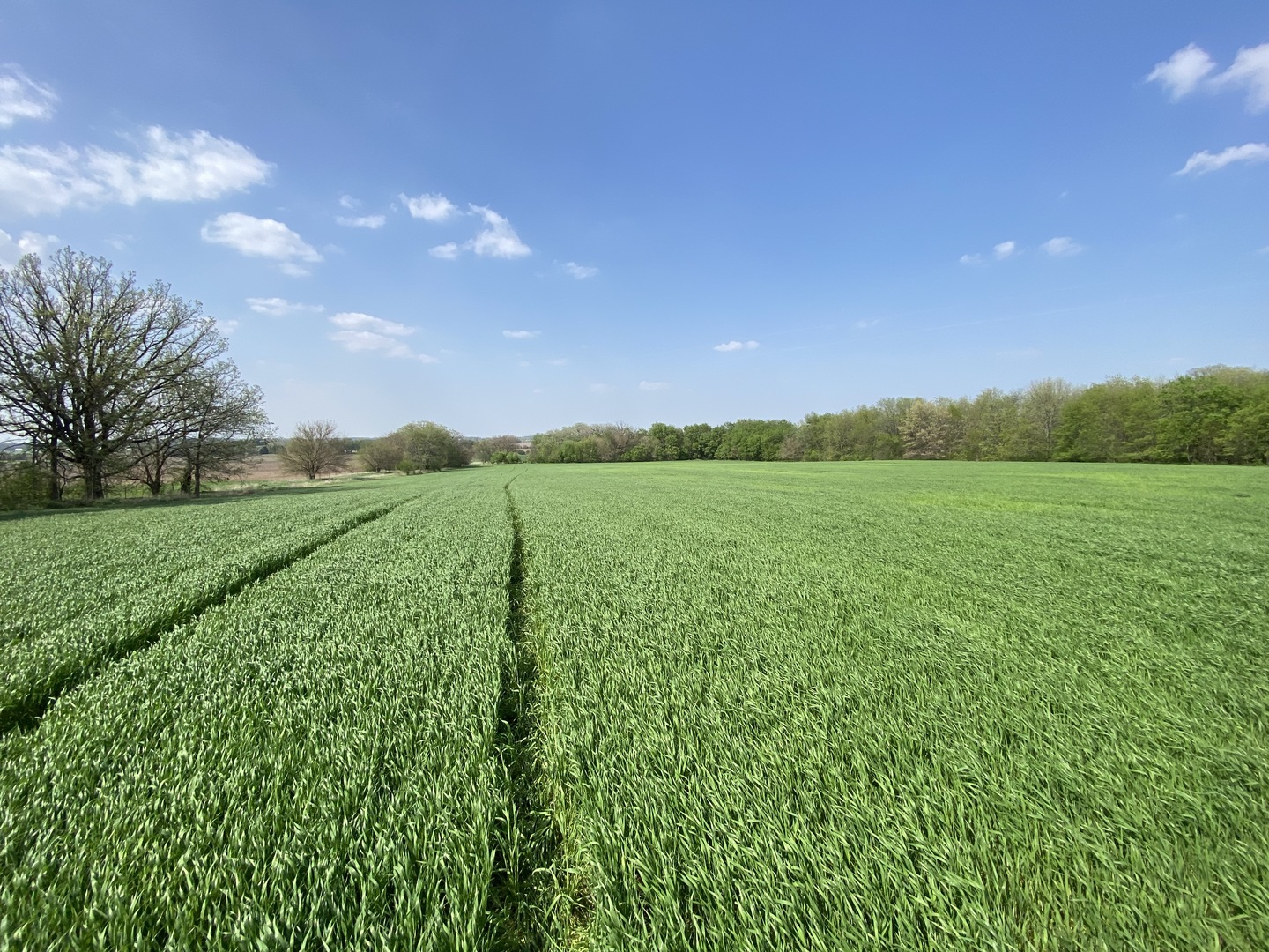 0 Higgins Road Hampshire, IL 60140 - Photo 6 of 30 a view of a green field with trees in the background