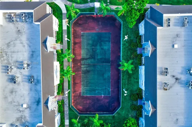 a view of a garden with plants