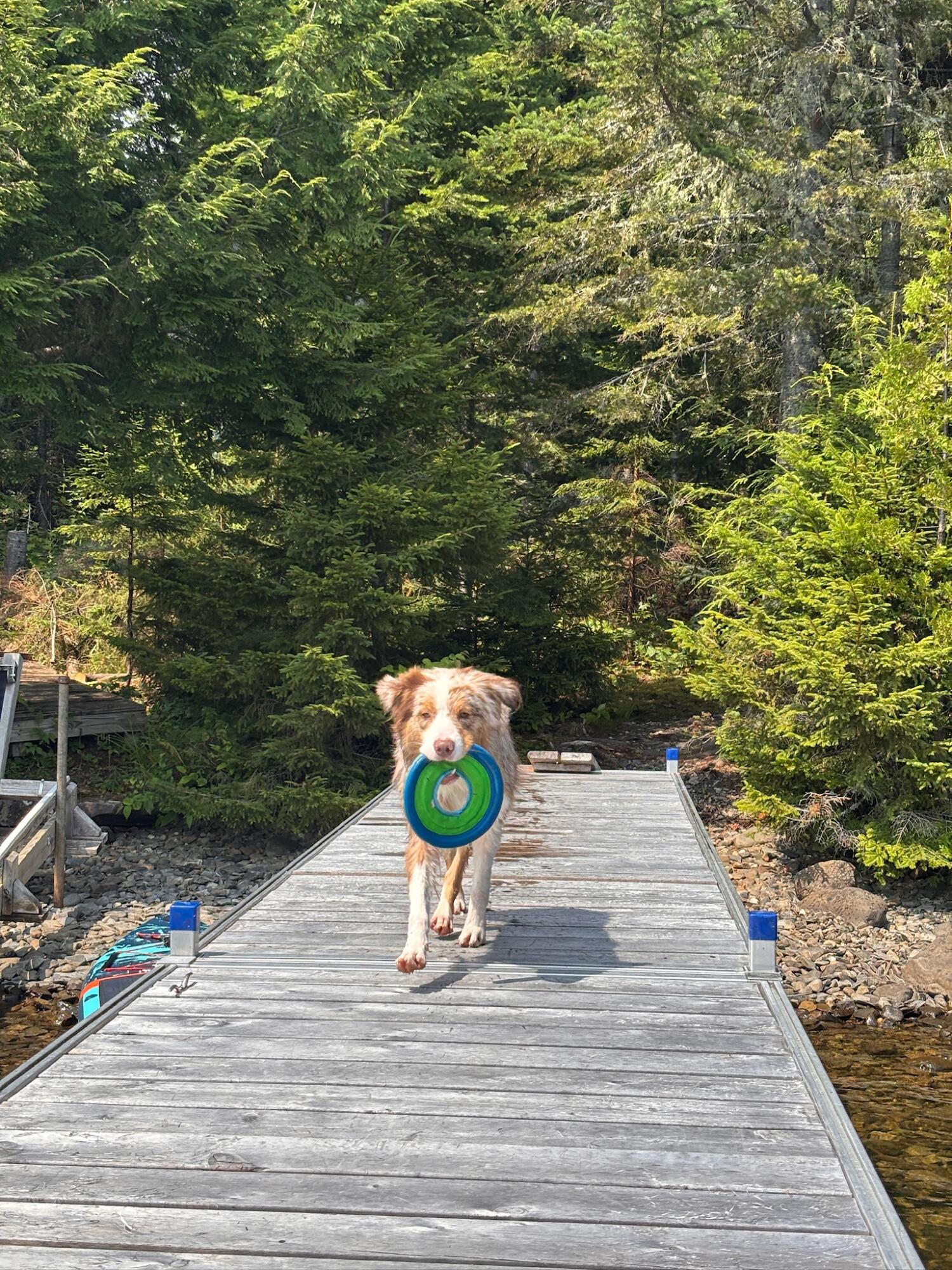 38 Longhouse Road Rockwood, ME 04478 - Photo 12 of 55 Dock (2)