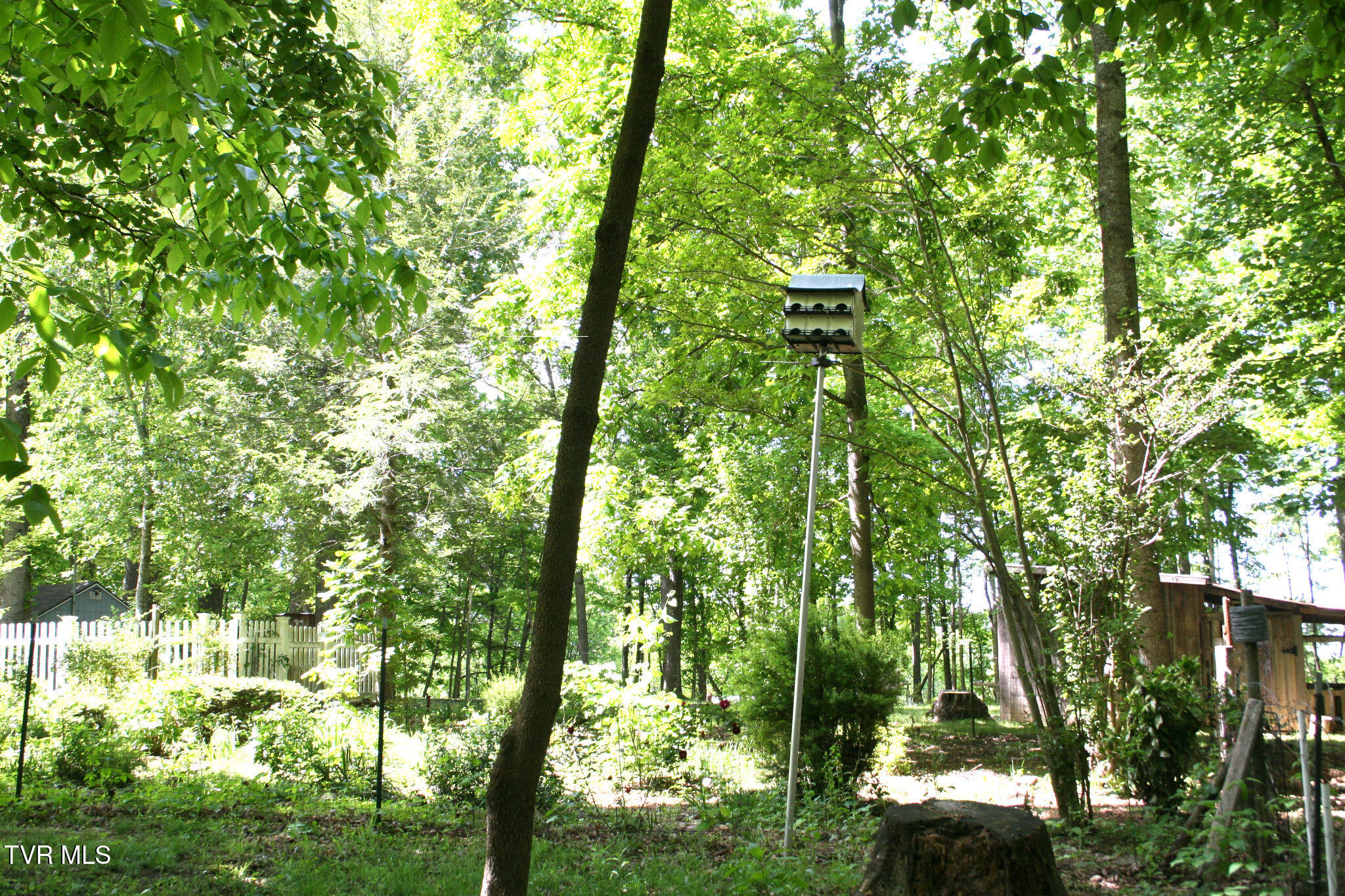 130 Kenneth Foster Road Chuckey, TN 37641 - Photo 44 of 60 IMG_0064