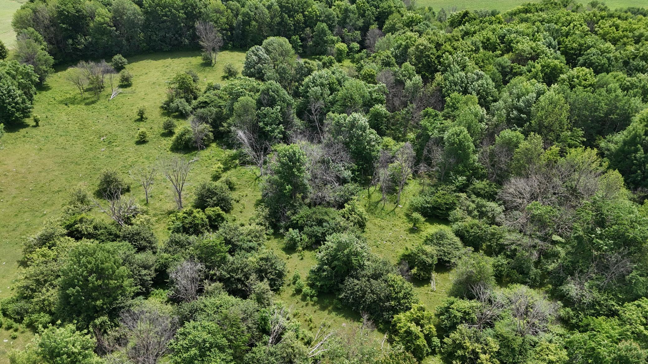 Tbd Tbd 230th Baldwin, WI 54002 - Photo 40 of 56