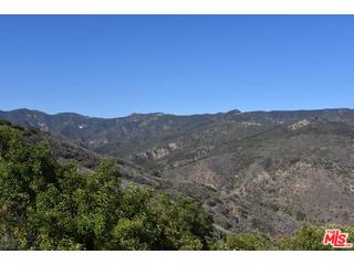 2727 Corral Canyon Road Malibu, CA 90265 - Photo 12 of 17