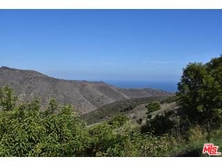 2727 Corral Canyon Road Malibu, CA 90265 - Photo 13 of 17