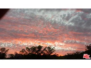 2727 Corral Canyon Road Malibu, CA 90265 - Photo 15 of 17