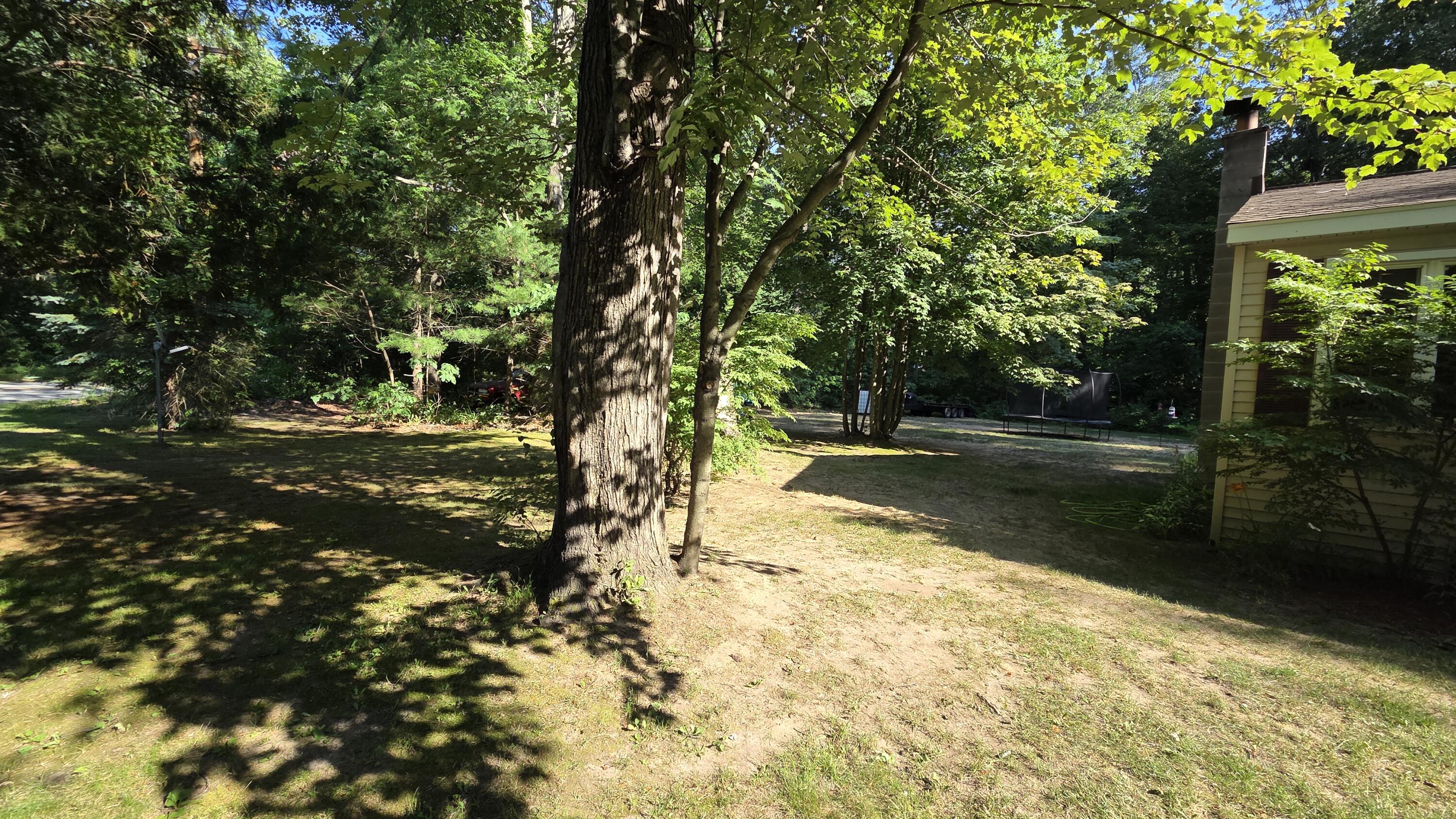 6141 Bell Road Whitehall, MI 49461 - Photo 5 of 33 Side yard