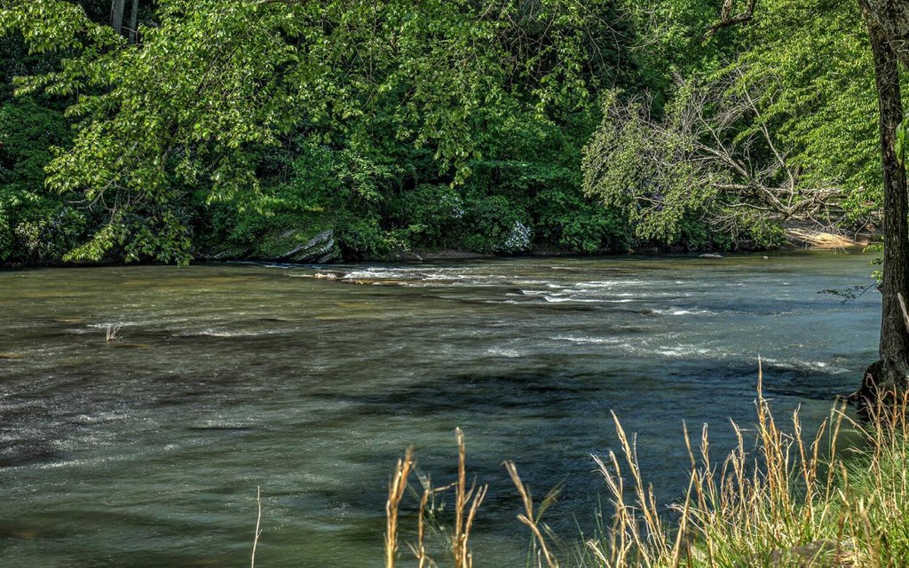 343 Muller Lane Ellijay, GA 30540 - Photo 2 of 35