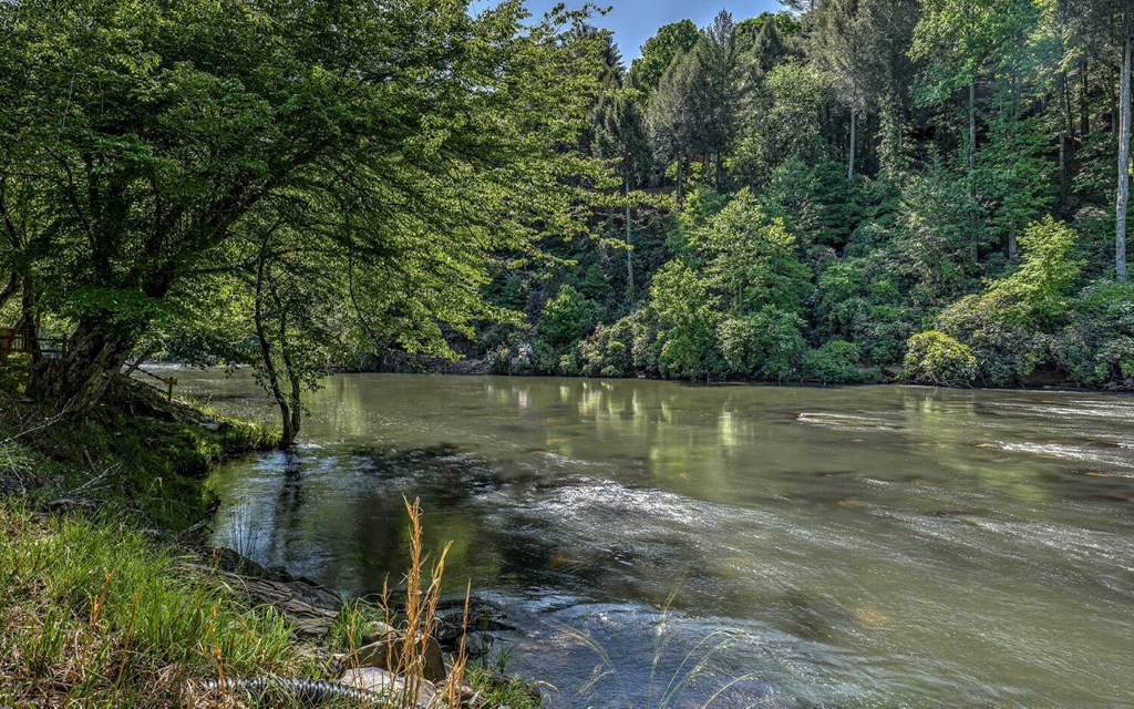 343 Muller Lane Ellijay, GA 30540 - Photo 6 of 35