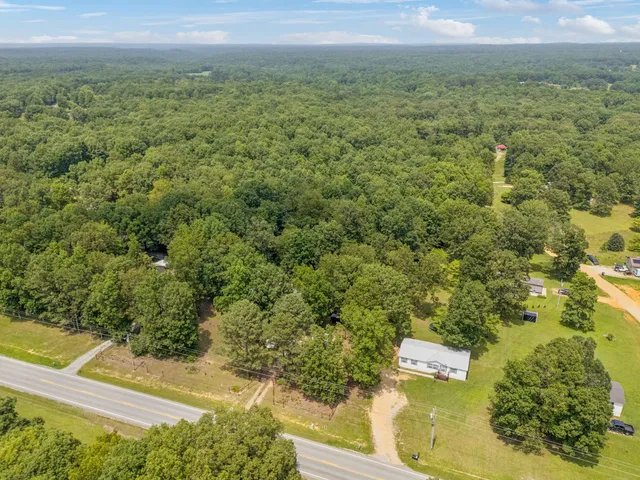 an aerial view of residential houses with outdoor space and trees