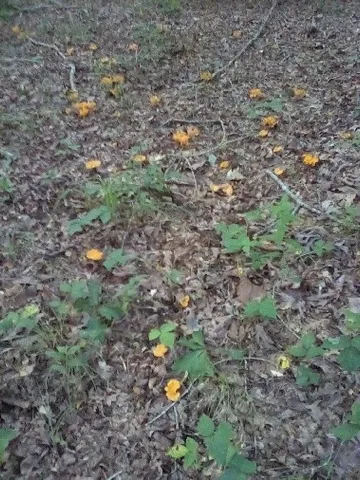 a view of a tub in a bathroom