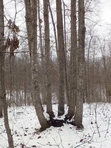 $389,000 | 4835 Summertown Highway, Summertown, TN 38483