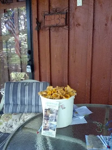 $389,000 | 4835 Summertown Highway, Summertown, TN 38483