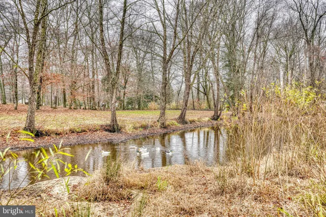 a view of swimming pool with a yard and trees