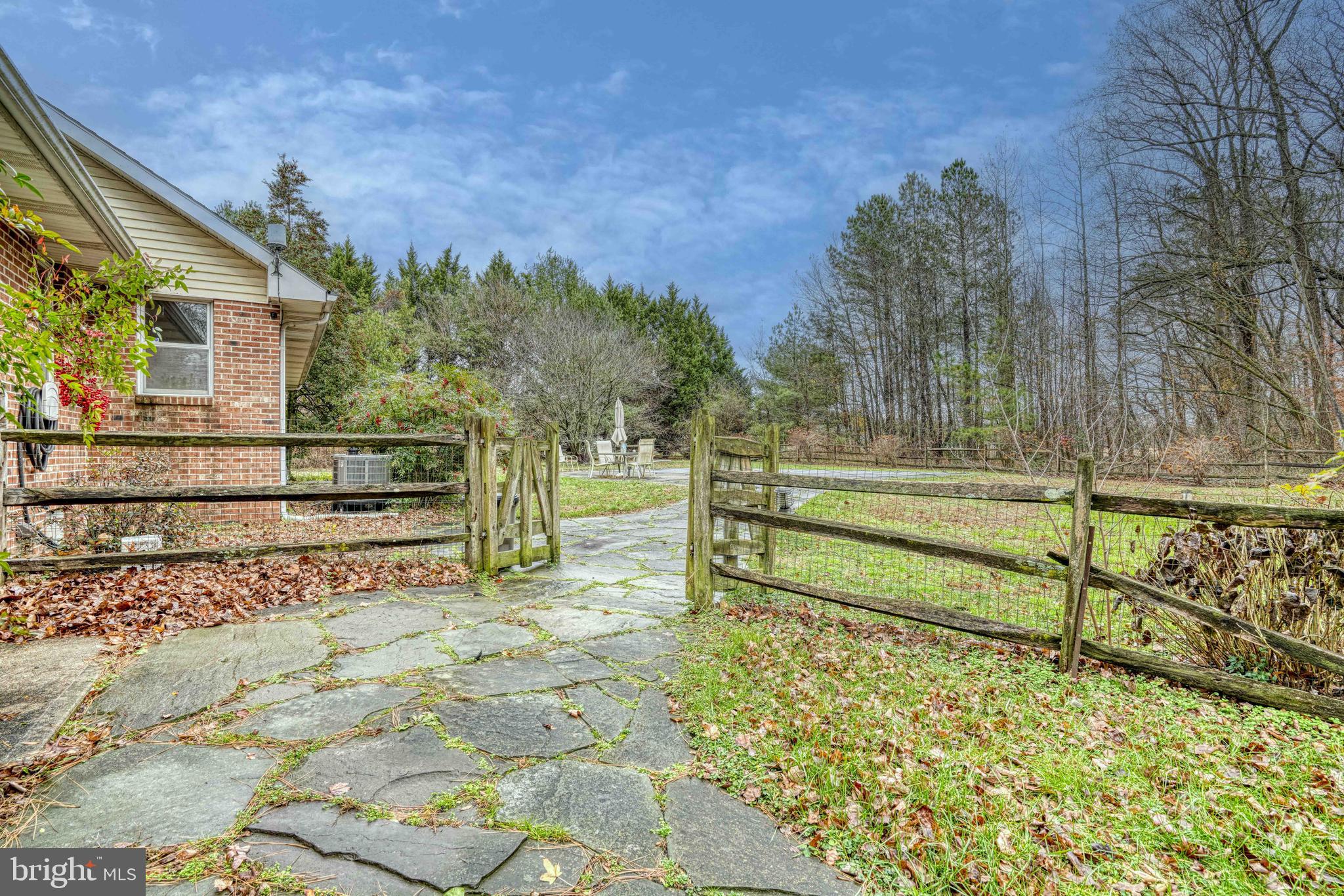 14957 Cherry Lane Ridgely, MD 21660 - Photo 62 of 66 a view of backyard with wooden fence and large trees