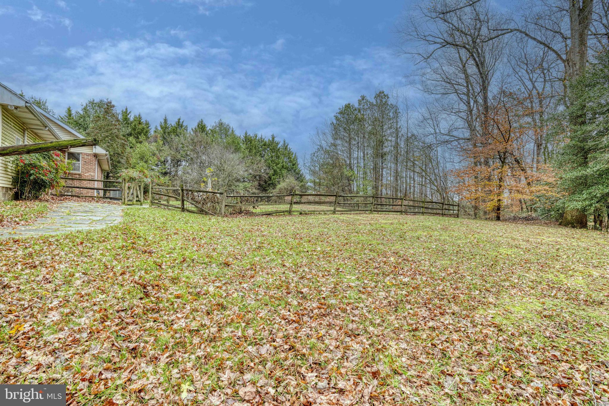 14957 Cherry Lane Ridgely, MD 21660 - Photo 63 of 66 a view of a yard with an trees