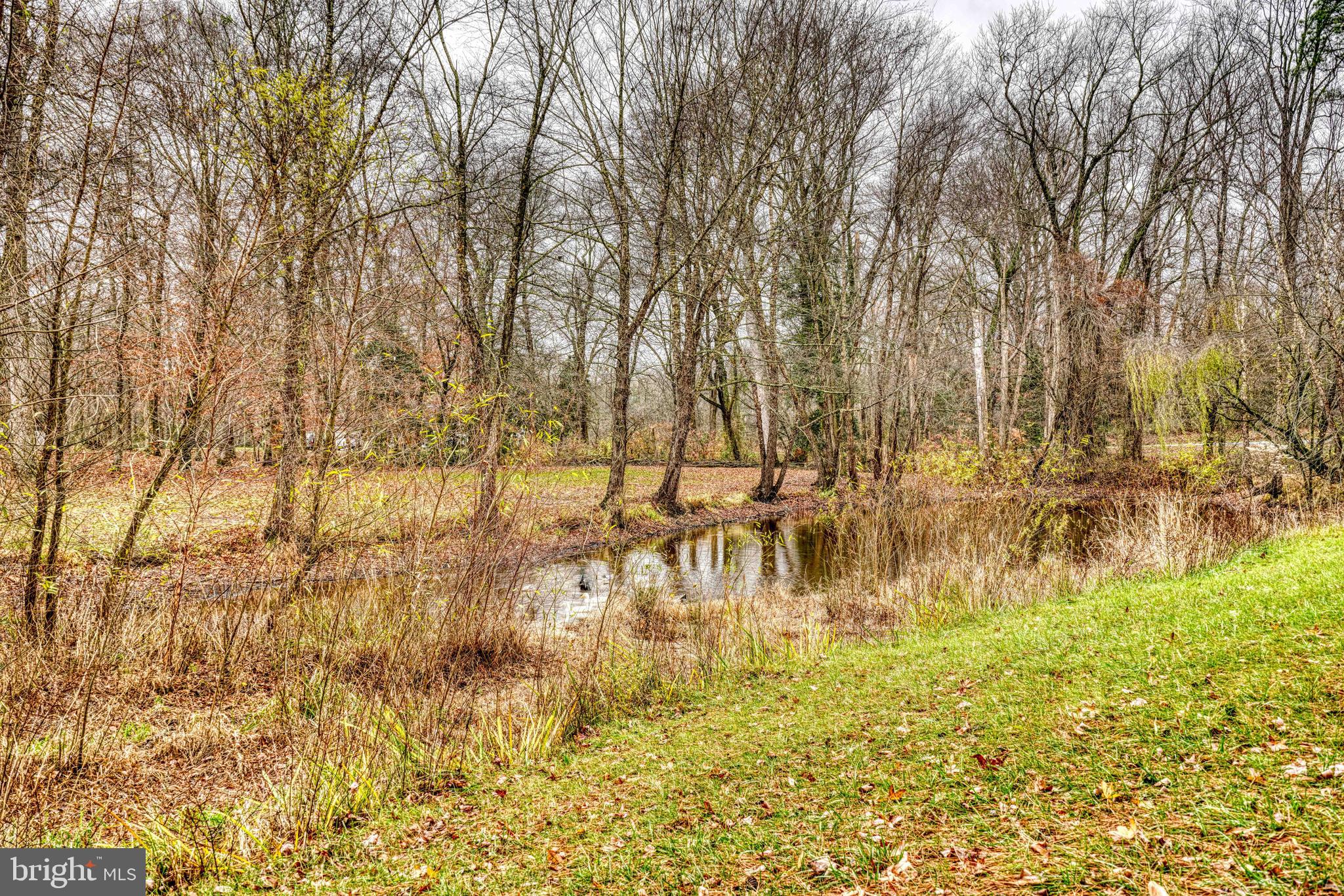 14957 Cherry Lane Ridgely, MD 21660 - Photo 64 of 66 a view of swimming pool of water with green space
