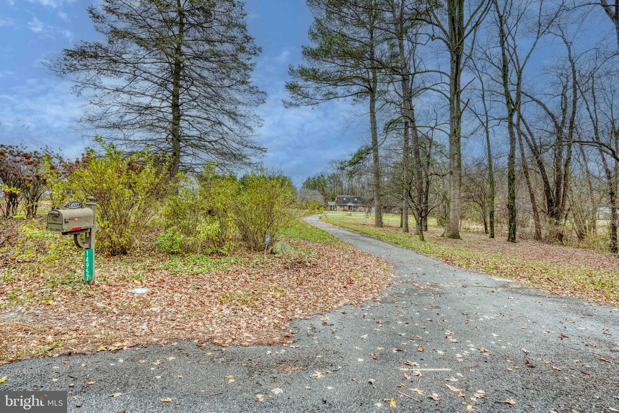 14957 Cherry Lane Ridgely, MD 21660 - Photo 65 of 66 a view of a yard with a tree
