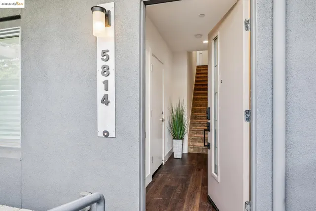 a view of multiple yard with large windows