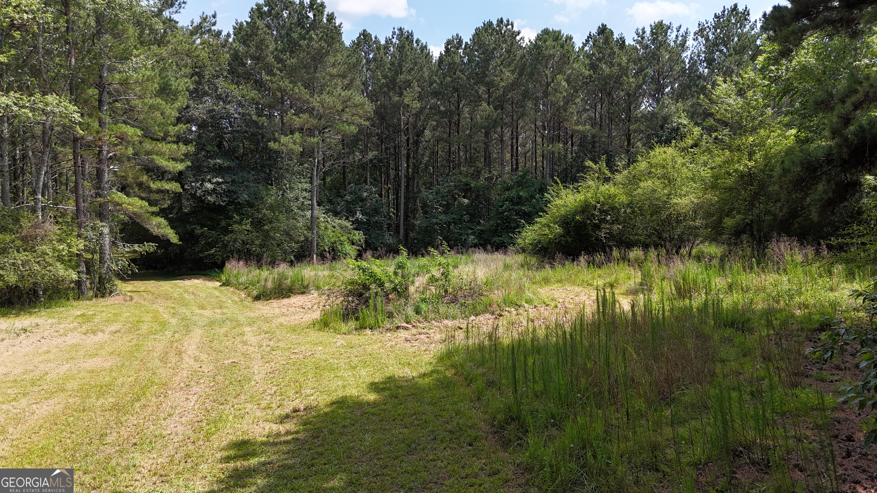 3729 Duncan Bridge Road Southwest Cornelia, GA 30531 - Photo 51 of 63