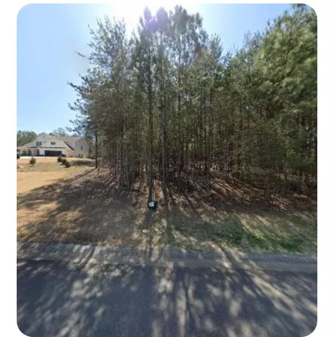 a view of a yard with trees in the background