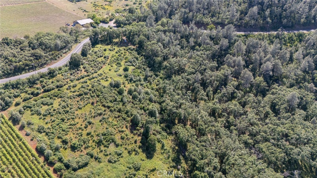 13520 Point Lakeview Road Lower Lake, CA 95457 - Photo 3 of 31