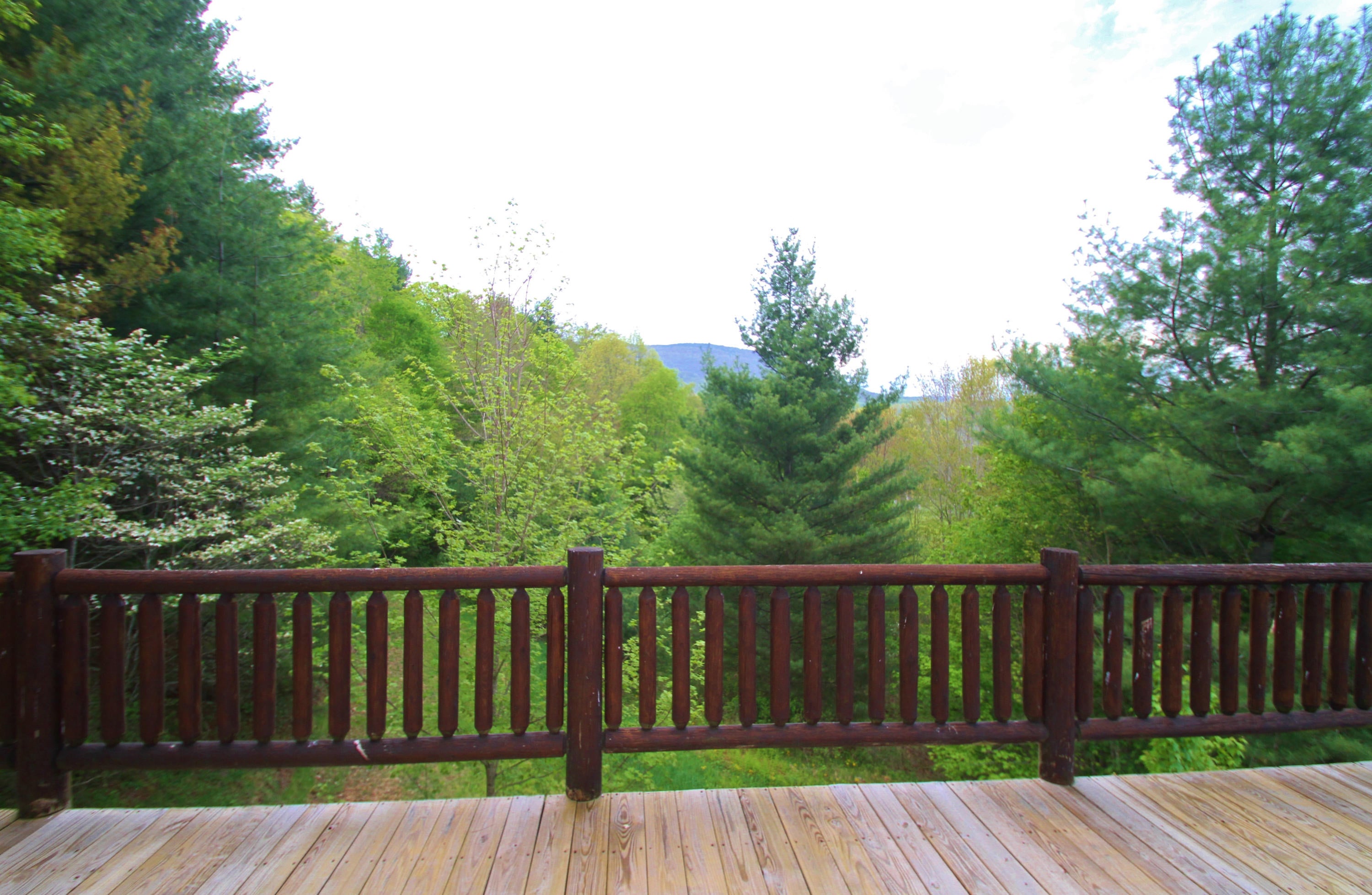 14626 Edray Road Cass, WV 24927 - Photo 14 of 84 Gallery Image 14