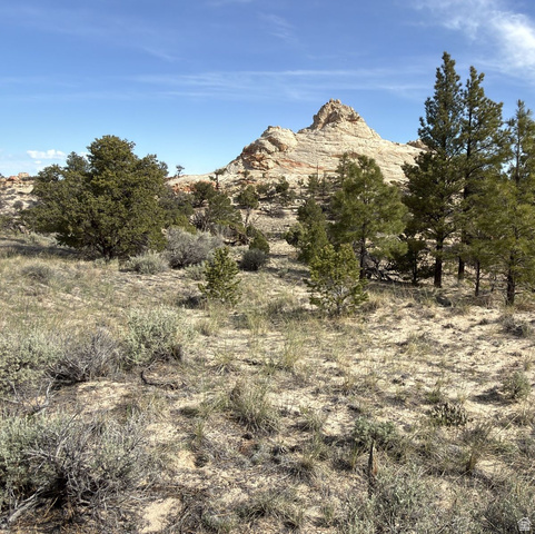 2196 East Teasdale Road Teasdale, UT 84773 - Photo 5 of 57