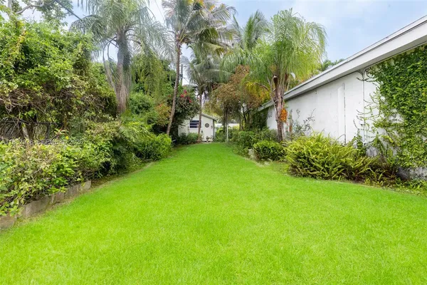 a view of a backyard with plants and large trees