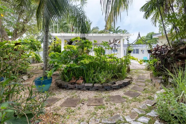 a picture of a yard and a palm tree