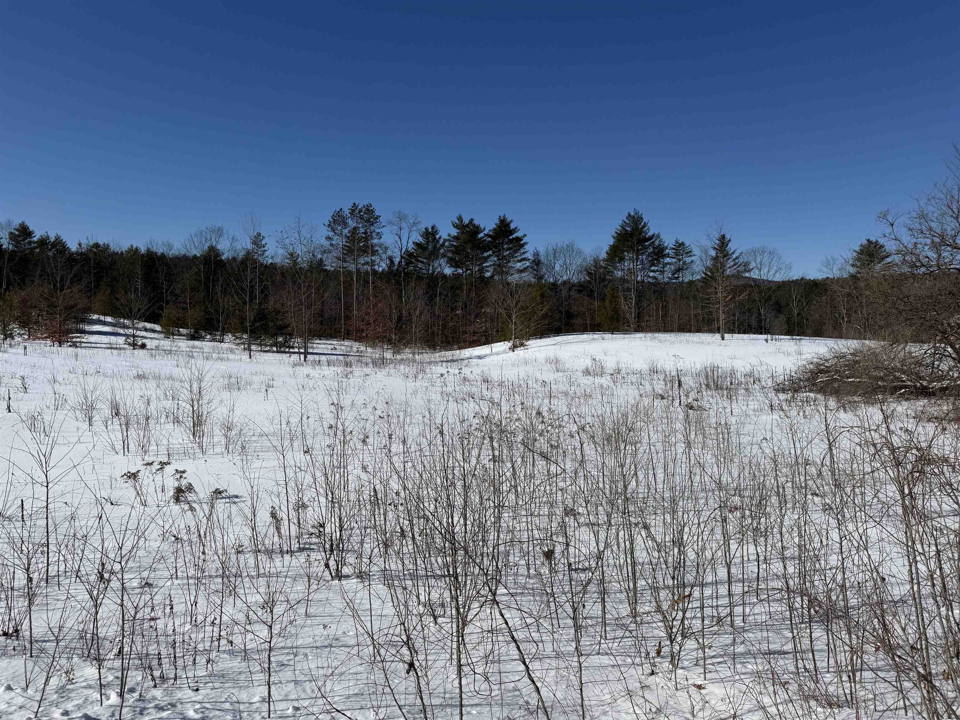 Lot 4 Depot Street Andover, NH 03216 - Photo 4 of 15