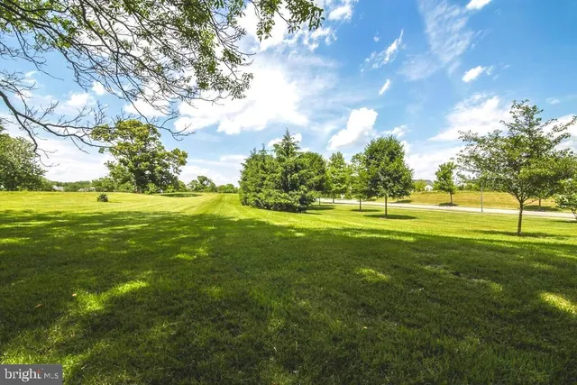 a view of a trees with a big yard