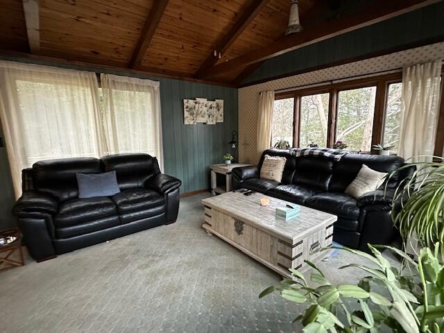 14 Linden Road Mashpee, MA 02649 - Photo 7 of 35 IMG_7588