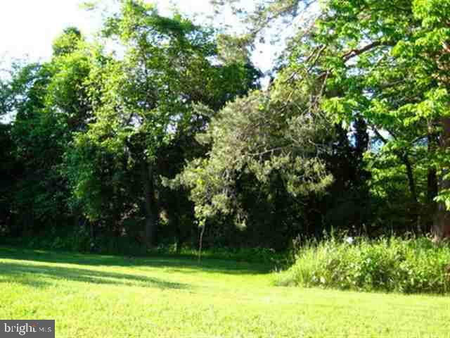 433 North Scenic Road Harrisburg, PA 17109 - Photo 7 of 10 Gallery Image 7