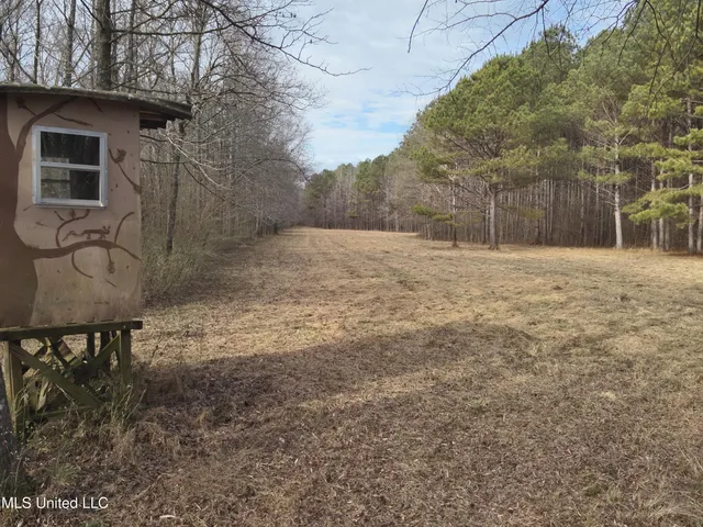 $575,000 | 1356 Harrell Road, Pheba, MS 39755