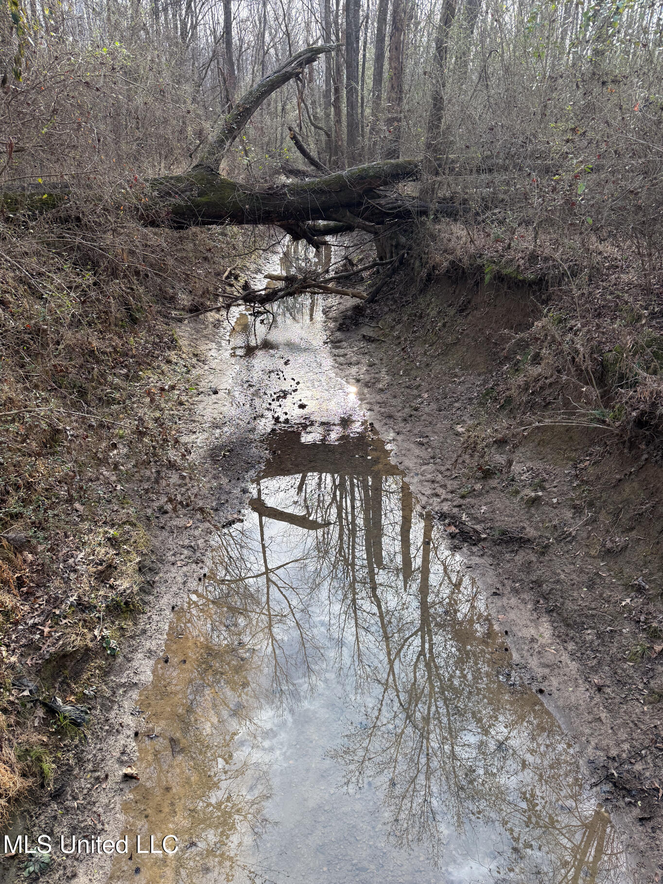 1356 Harrell Road Pheba, MS 39755 - Photo 12 of 35 Oktibbeha 106 resized-15