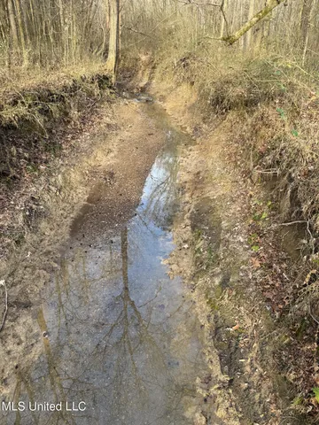 $575,000 | 1356 Harrell Road, Pheba, MS 39755