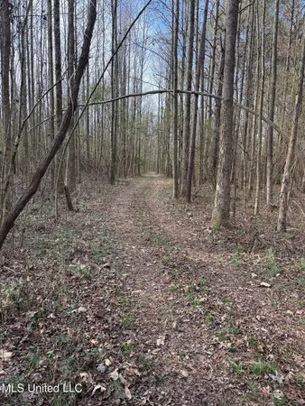 $520,000 | 1356 Harrell Road, Pheba, MS 39755