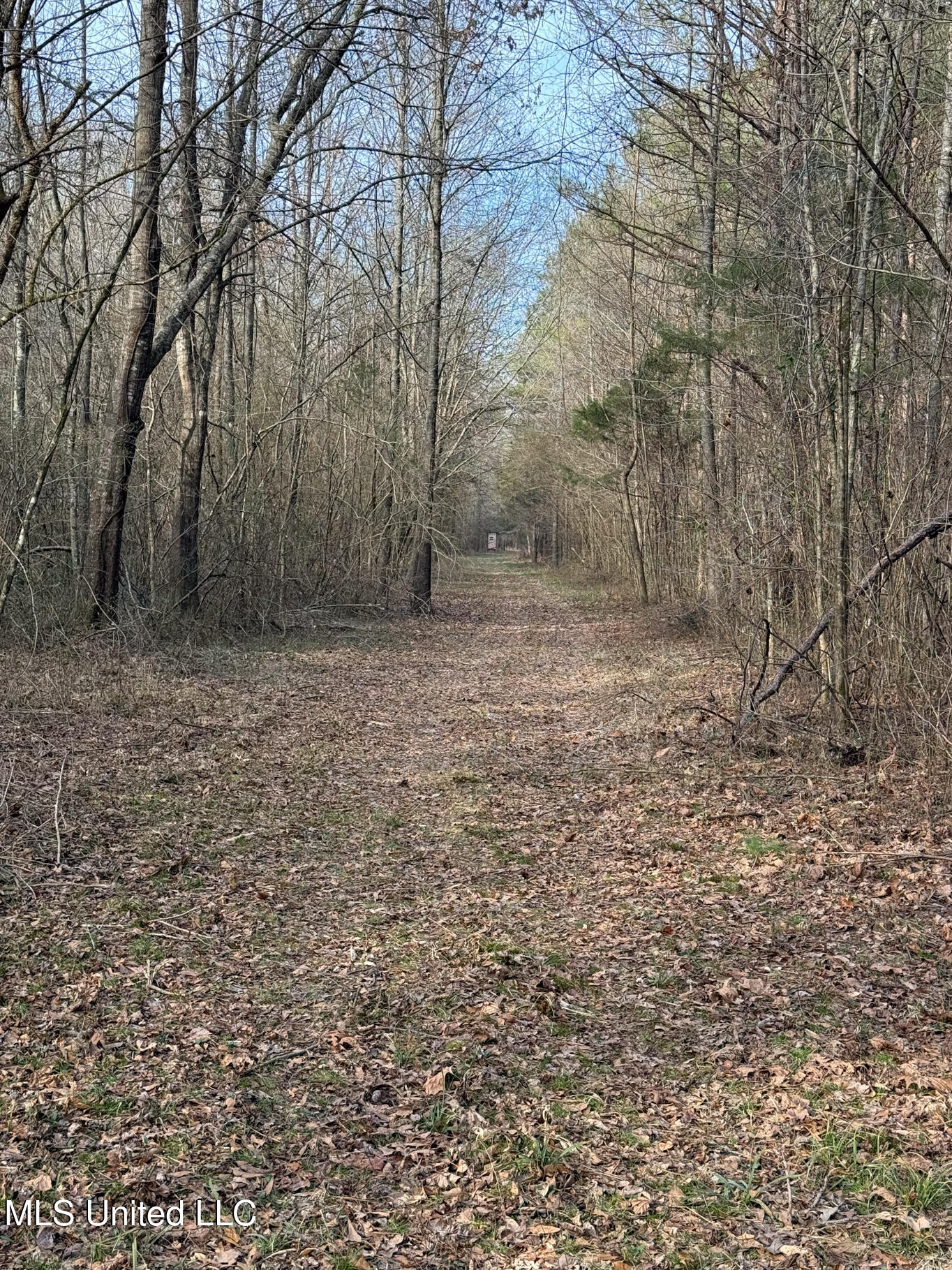 1356 Harrell Road Pheba, MS 39755 - Photo 15 of 35 Oktibbeha 106 resized-17