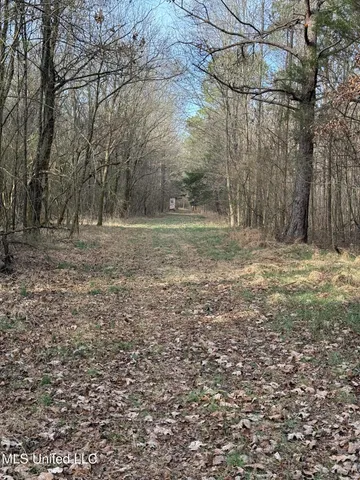 $575,000 | 1356 Harrell Road, Pheba, MS 39755