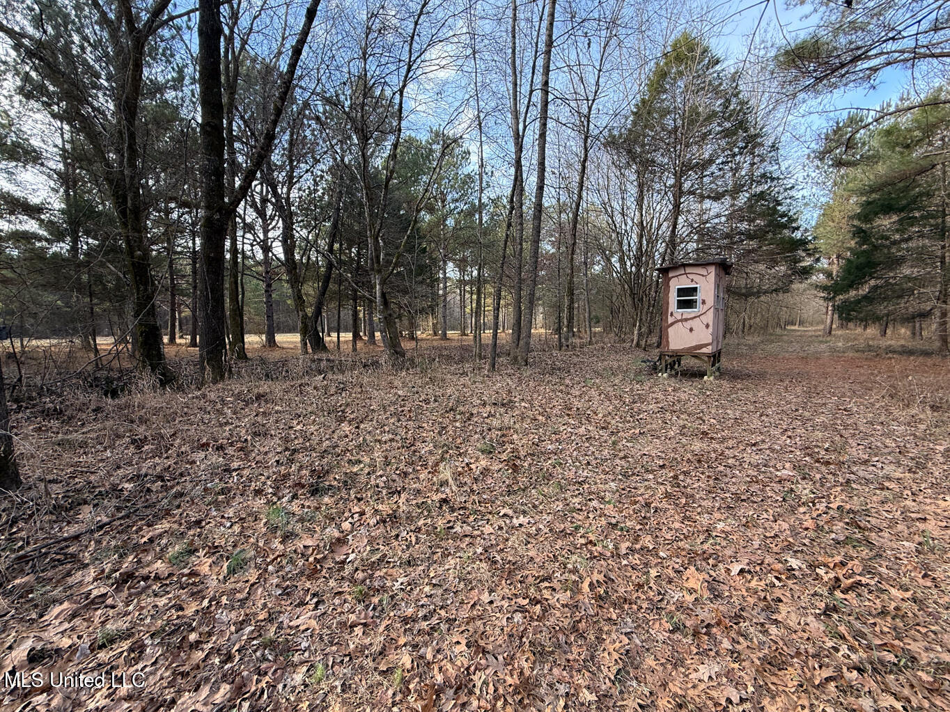 1356 Harrell Road Pheba, MS 39755 - Photo 17 of 35 Oktibbeha 106 resized-20