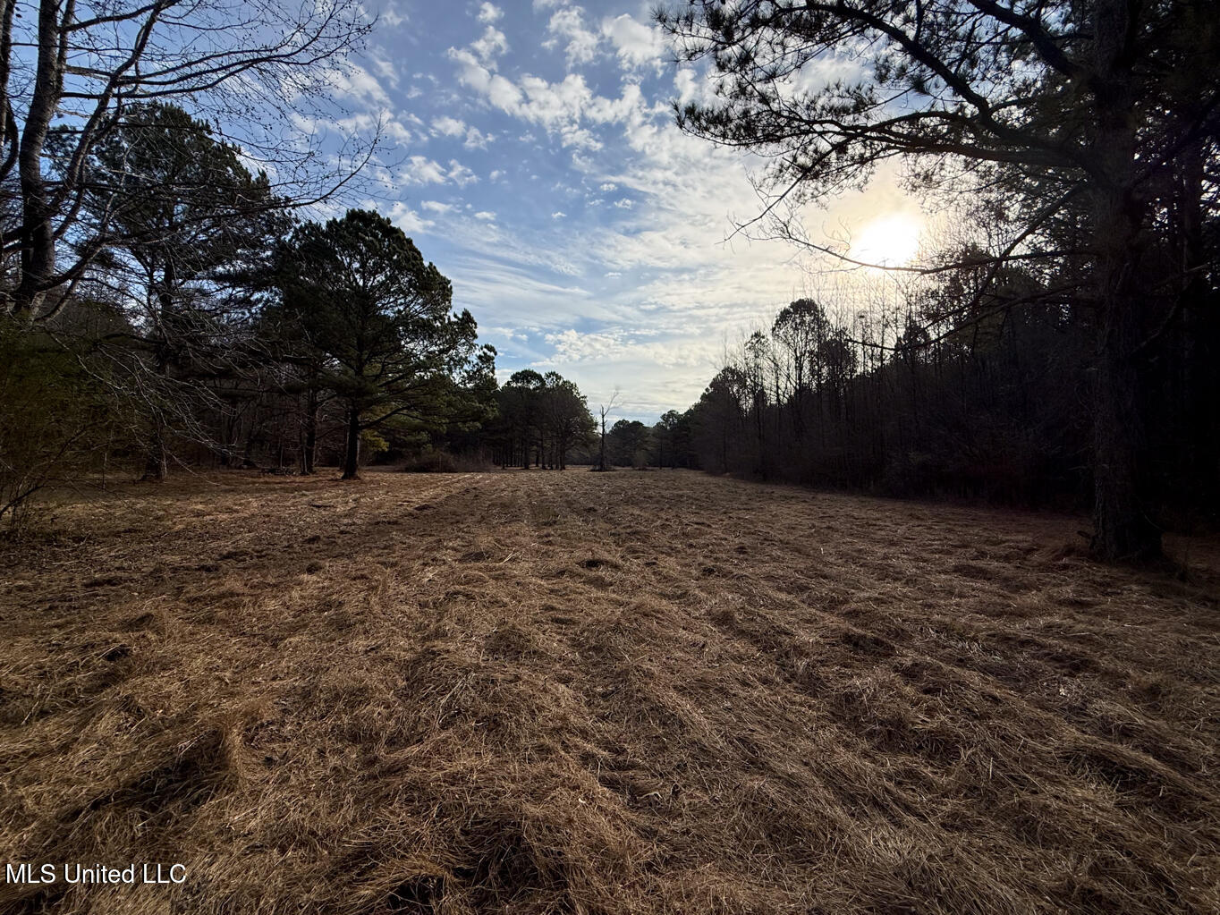 1356 Harrell Road Pheba, MS 39755 - Photo 18 of 35 Oktibbeha 106 resized-24