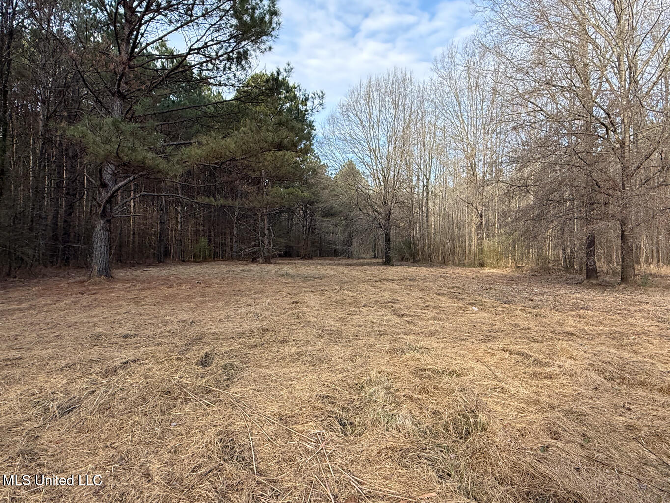 1356 Harrell Road Pheba, MS 39755 - Photo 19 of 35 Oktibbeha 106 resized-26