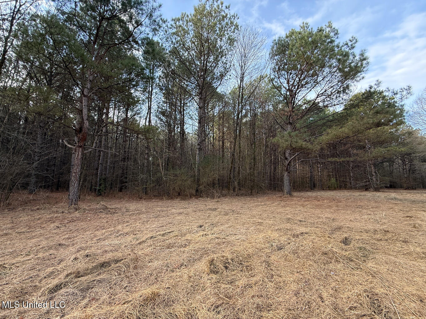 1356 Harrell Road Pheba, MS 39755 - Photo 20 of 35 Oktibbeha 106 resized-27