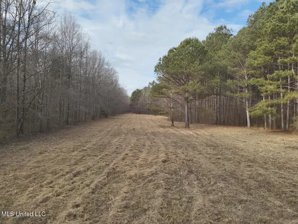 $520,000 | 1356 Harrell Road, Pheba, MS 39755