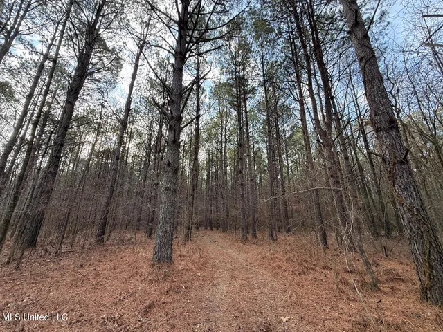 $575,000 | 1356 Harrell Road, Pheba, MS 39755