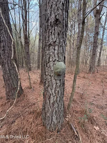 $575,000 | 1356 Harrell Road, Pheba, MS 39755